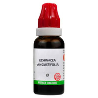 Thumbnail for bjain-homeopathy-echinacea-angustifolia-mother-tincture-