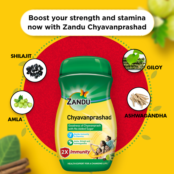 Zandu (Sugar Free) Chyavanprashad