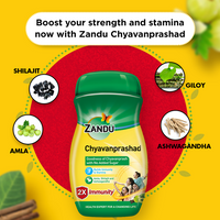 Thumbnail for Zandu (Sugar Free) Chyavanprashad