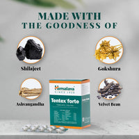 Thumbnail for Himalaya Tentex Forte Tablets