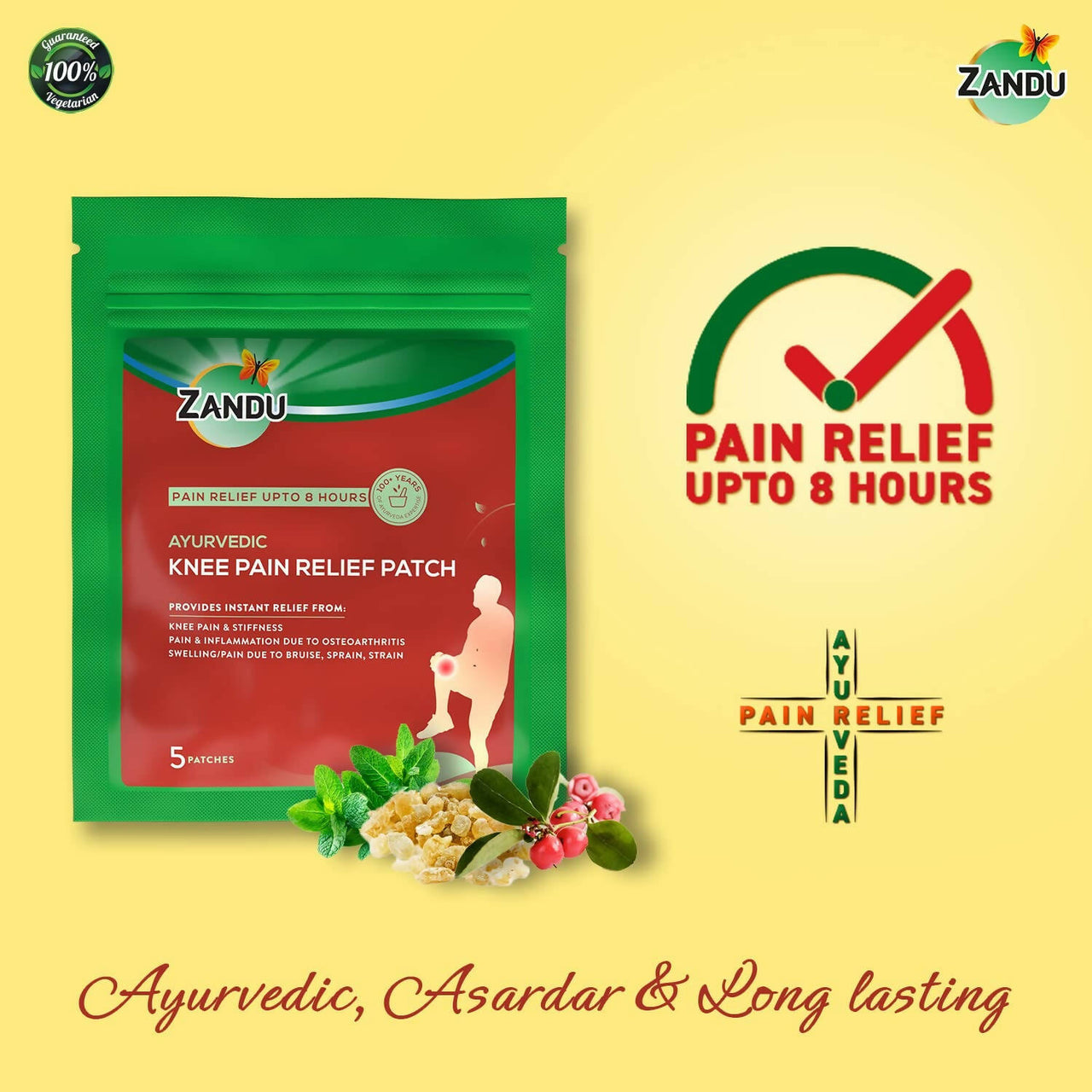 Zandu Ayurvedic Knee Pain Relief Patch