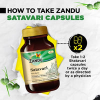 Thumbnail for Zandu Satavari Pure Herbs Capsules